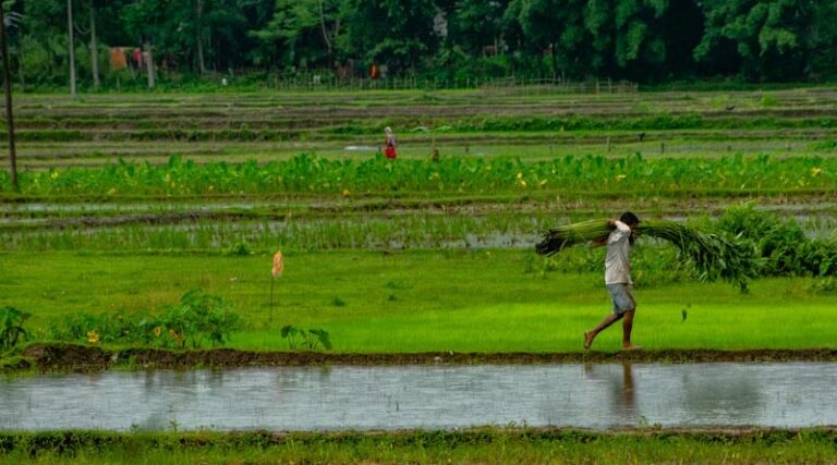 India Invites Stakeholder Feedback on Crop Grouping Norms for Pesticide Residue Evaluation