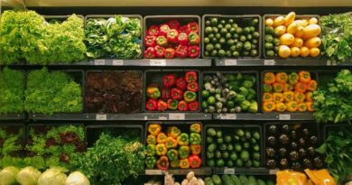 U.S. Horticulture Sales Reach $18.3 Billion in 2024, Driven by Expansion and New Crop Segments