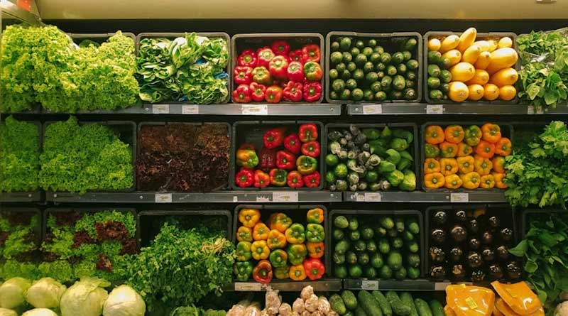 U.S. Horticulture Sales Reach $18.3 Billion in 2024, Driven by Expansion and New Crop Segments
