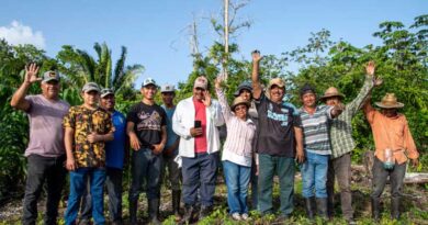 Guardians Of Native Maize: Conserving The Seed That Sustains Life In Quintana Roo