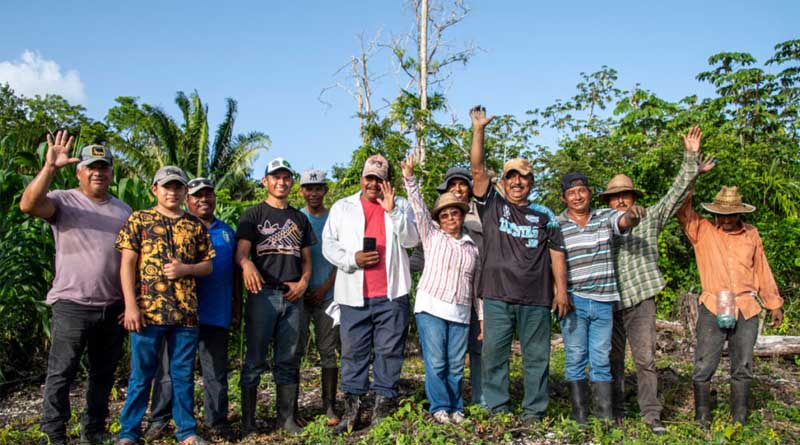 Guardians Of Native Maize: Conserving The Seed That Sustains Life In Quintana Roo