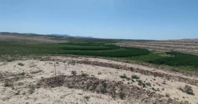 Researching Rainwater Harvesting in Kashkadarya, Uzbekistan