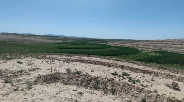 Researching Rainwater Harvesting in Kashkadarya, Uzbekistan
