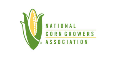 NCGA Surveys Find Rising Alarm Over Fertilizer Costs and Availability, with Risks Escalating Into 2027 NCGA Surveys Find Rising Alarm Over Fertilizer Costs and Availability, with Risks Escalating Into 2027