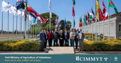 CIMMYT And Uzbekistan Strengthen Partnership To Advance Climate-resilient Wheat Systems