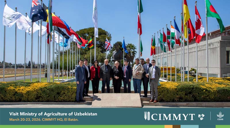 CIMMYT And Uzbekistan Strengthen Partnership To Advance Climate-resilient Wheat Systems