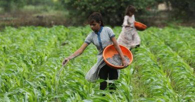 Food Security Is Crucial To Global Security (Globe And Mail)