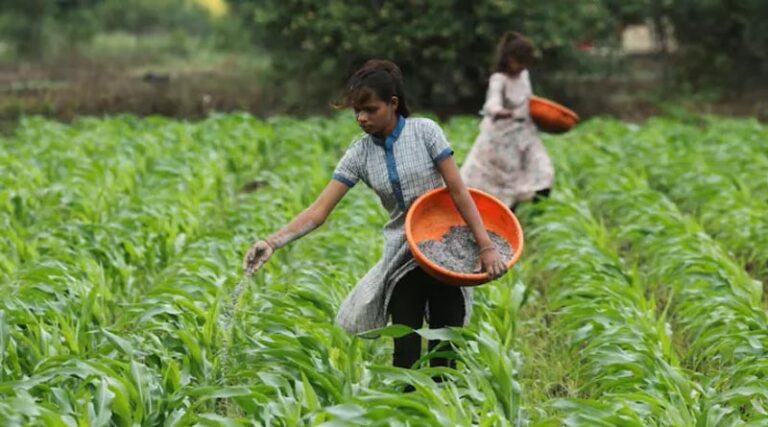 Food Security Is Crucial To Global Security (Globe And Mail)