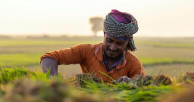 Amid Rabi Losses and Weak Monsoon Outlook, CropLife India Issues Zaid Crop Advisory