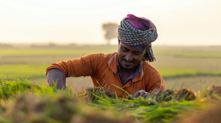 Amid Rabi Losses and Weak Monsoon Outlook, CropLife India Issues Zaid Crop Advisory