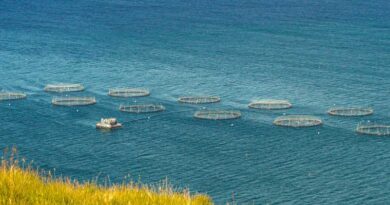 Washington State's Landmark Net Pen Aquaculture Ban Protected in Victory for Clean Water and Aquatic Ecosystems