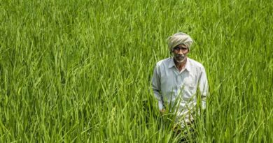Agri-Input Industry Flags Proposed Return of Inspection-Based Regulation in Maharashtra Agri-Input Industry Flags Proposed Return of Inspection-Based Regulation in Maharashtra