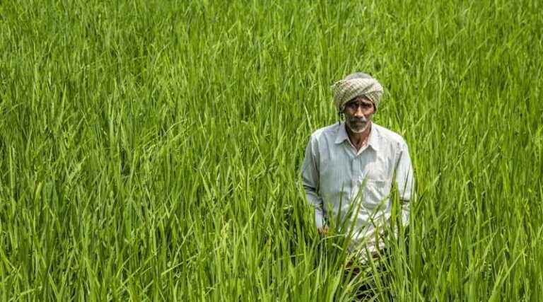 Agri-Input Industry Flags Proposed Return of Inspection-Based Regulation in Maharashtra