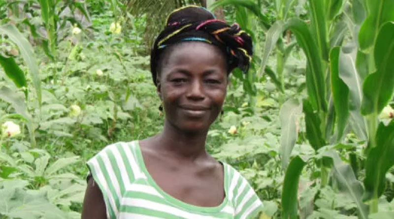How women view marriage and childbearing decisions: Recent WEMNS evidence from Liberia and Sierra Leone