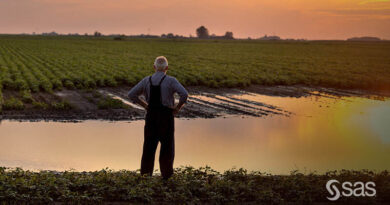 SAS, NC State and ECU Deploying Sensors And Iot Analytics To Help Farmers Protect Crops, Livestock And Equipment