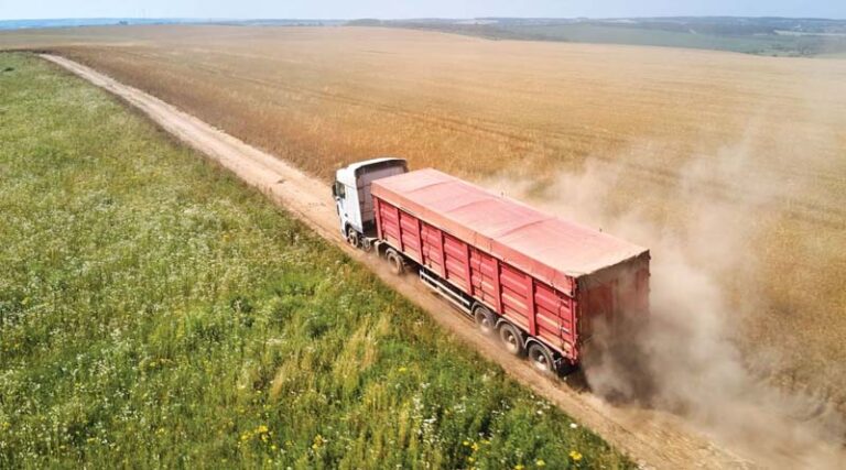 Hidden Hitchhikers: The Biosecurity Risks Inside Farm Shipping Containers