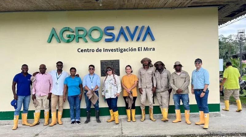 Colombia Steps Up for Crop Diversity: Inside AGROSAVIA’s Work with the Power of Diversity Funding Facility