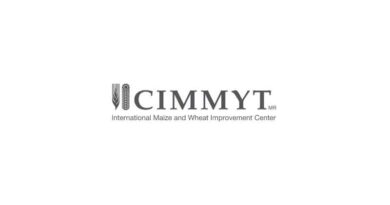Richa Sharma Puri Joins CIMMYT as Asia Communications Manager Richa Sharma Puri Joins CIMMYT as Asia Communications Manager