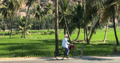 India: Maharashtra Moves to Reform Fertilizer Regulation: Industry Backs Inspection Overhaul, Anti-Linking Policy and Quality Controls India: Maharashtra Moves to Reform Fertilizer Regulation: Industry Backs Inspection Overhaul, Anti-Linking Policy and Quality Controls