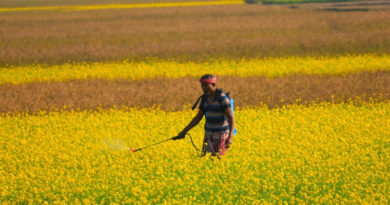 Agrochemical MSMEs in India May Suffer if Data Exclusivity Is Introduced: PMFAI Agrochemical MSMEs in India May Suffer if Data Exclusivity Is Introduced: PMFAI