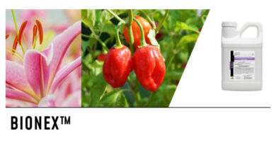 BioWorks Introduces BioNex™ Insecticide and Hoplite™ Moss Killer to Expand Crop Protection Portfolio BioWorks Introduces BioNex™ Insecticide and Hoplite™ Moss Killer to Expand Crop Protection Portfolio