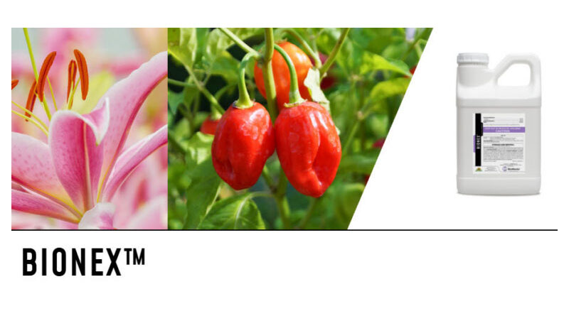 BioWorks Introduces BioNex™ Insecticide and Hoplite™ Moss Killer to Expand Crop Protection Portfolio