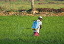 Banning a Pesticide Will Not Stop Farmer Suicides: Croplife India