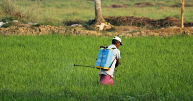 Banning a Pesticide Will Not Stop Farmer Suicides: Croplife India Banning a Pesticide Will Not Stop Farmer Suicides: Croplife India