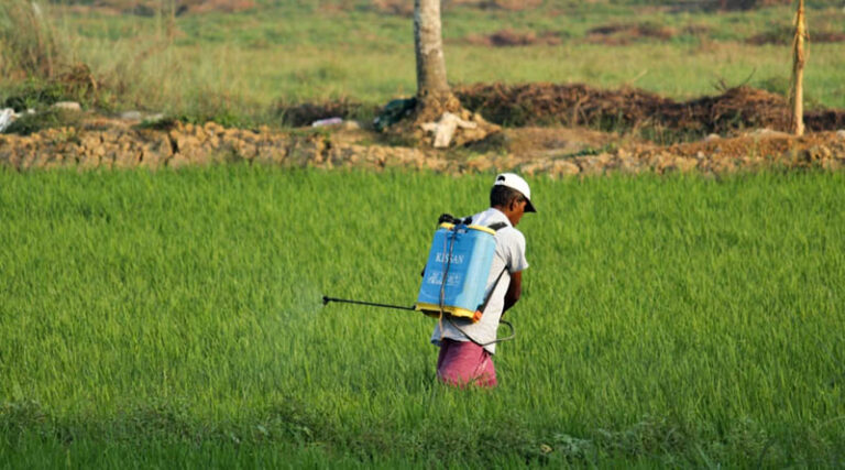 Banning a Pesticide Will Not Stop Farmer Suicides: Croplife India