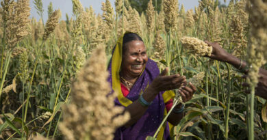 Why Agri-Input Dealers Matter More Than Ever in an Era of Agricultural Uncertainty