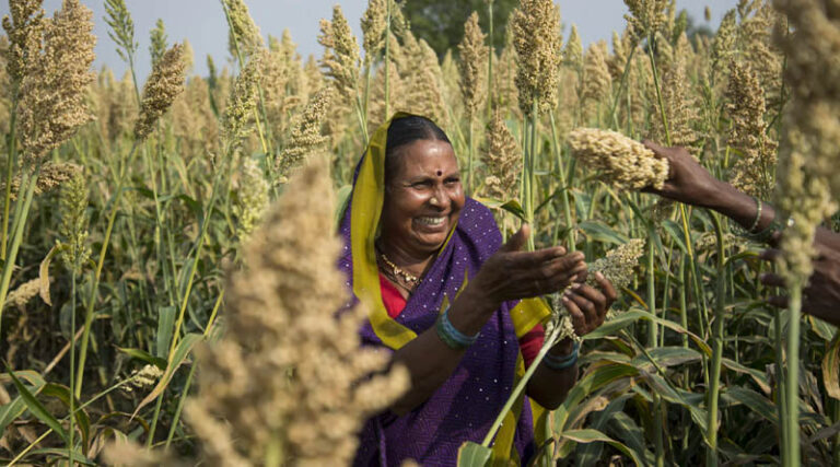 Why Agri-Input Dealers Matter More Than Ever in an Era of Agricultural Uncertainty