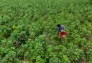 Local Action To National Impact: Pakistan’s Emerging OECM Story