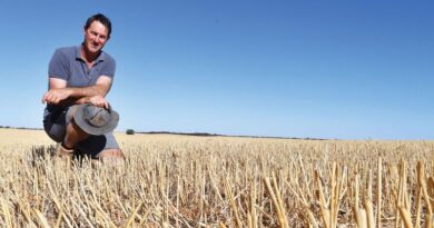 Engagement At The Heart Of Sandy Soils Progress