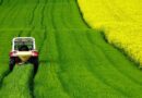 Progress of Area Coverage under Summer Crops as on 22.05.2026