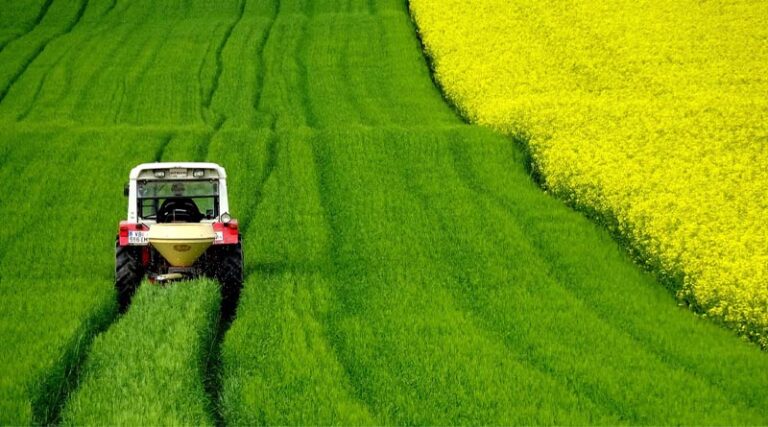 Progress of Area Coverage under Summer Crops as on 22.05.2026