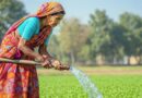 India’s Summer Crop Sowing Rises to 86.02 Lakh Hectares; Pulses, Maize and Groundnut Lead Growth