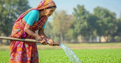 India’s Summer Crop Sowing Rises to 86.02 Lakh Hectares; Pulses, Maize and Groundnut Lead Growth India’s Summer Crop Sowing Rises to 86.02 Lakh Hectares; Pulses, Maize and Groundnut Lead Growth
