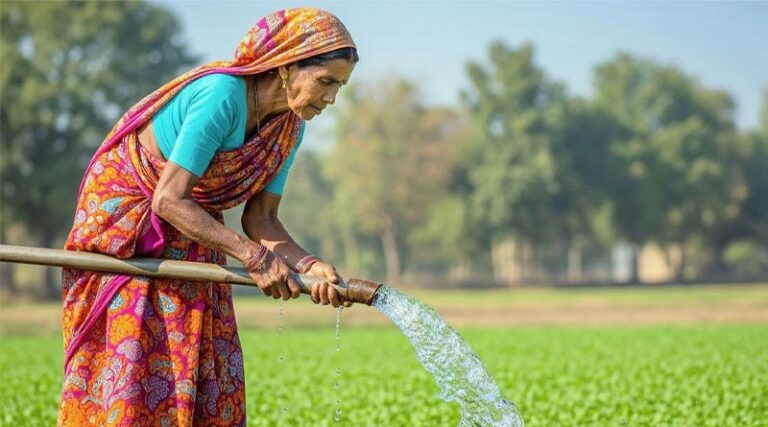 India’s Summer Crop Sowing Rises to 86.02 Lakh Hectares; Pulses, Maize and Groundnut Lead Growth