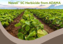 USA: ADAMA Launches High-Load Pyroxasulfone Herbicide ‘Novali SC’ for Row Crops