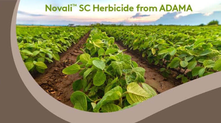 USA: ADAMA Launches High-Load Pyroxasulfone Herbicide ‘Novali SC’ for Row Crops