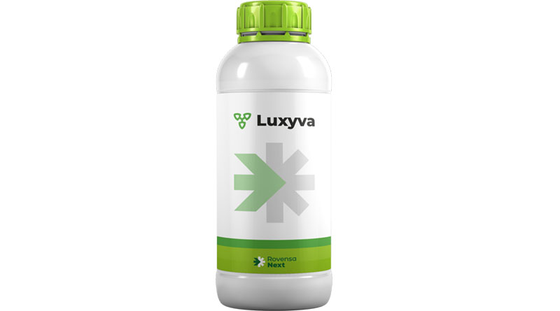 Rovensa Next Launches Luxyva® in Mexico for Crop Management Under High Solar Radiation
