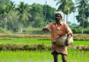 Economic Distress Main Driver Behind Farmer Suicides in India, Study Finds
