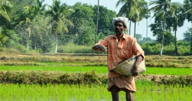 Economic Distress Main Driver Behind Farmer Suicides in India, Study Finds