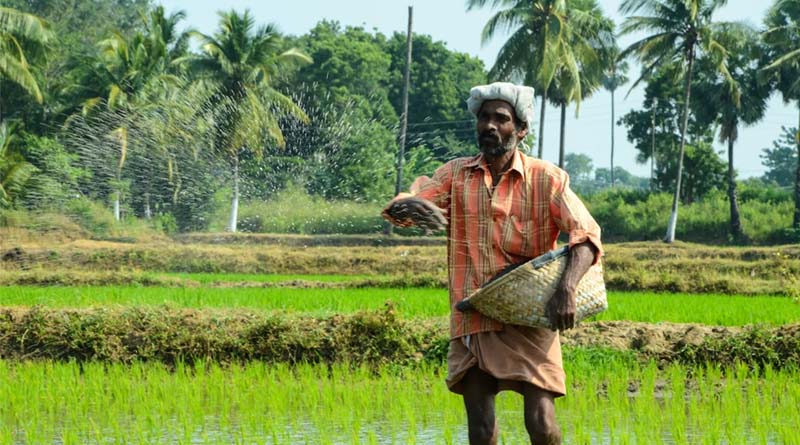 Economic Distress Main Driver Behind Farmer Suicides in India, Study Finds