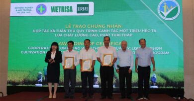 Vietnam Pioneers Digital 'Scoring' Tool for Nation’s Low-Emission Rice Program