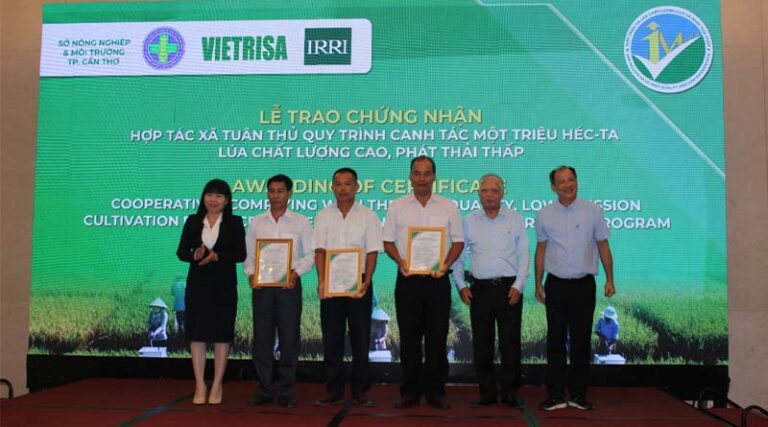 Vietnam Pioneers Digital 'Scoring' Tool for Nation’s Low-Emission Rice Program