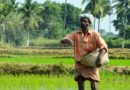 India Creates Separate Missions for Pulses and Oilseeds Ahead of Kharif 2026 Season
