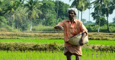 India Creates Separate Missions for Pulses and Oilseeds Ahead of Kharif 2026 Season India Creates Separate Missions for Pulses and Oilseeds Ahead of Kharif 2026 Season
