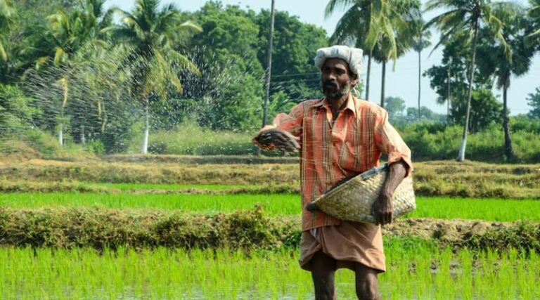 India Creates Separate Missions for Pulses and Oilseeds Ahead of Kharif 2026 Season