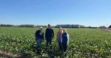 From Crop Rotation to Dairy Feed: College Begins Growing Silage From Crop Rotation to Dairy Feed: College Begins Growing Silage